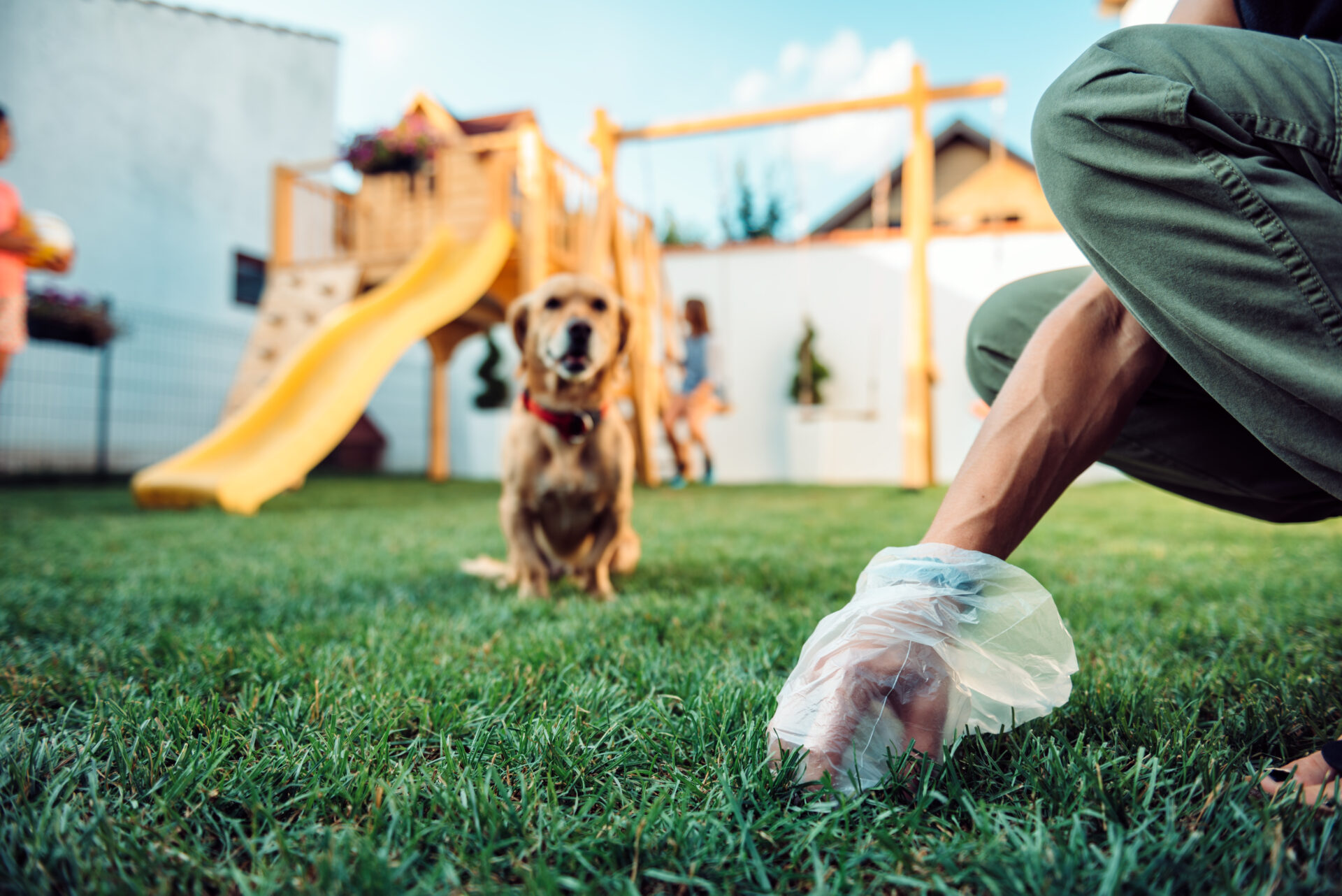 Experience the Difference in Pet Waste Cleanup with Poop 911 Moultonborough, New Hampshire