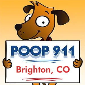 POOP 911 Brighton, Colorado yard sign being held by a Smiling Brown Dog.